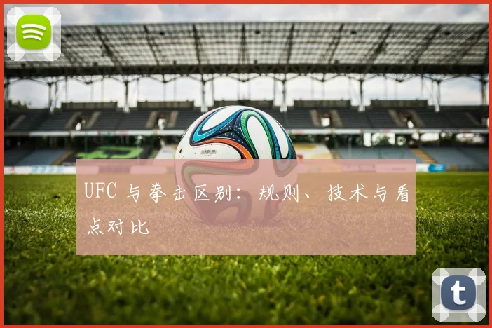 UFC 与拳击区别:规则、技术与看点对比