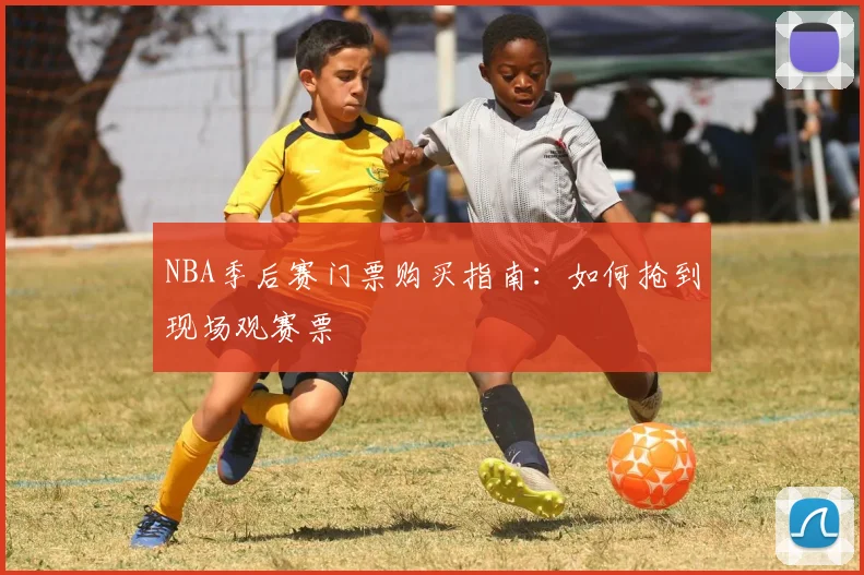 NBA季后赛门票购买指南:如何抢到现场观赛票