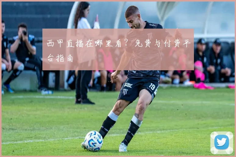 西甲直播在哪里看?免费与付费平台指南